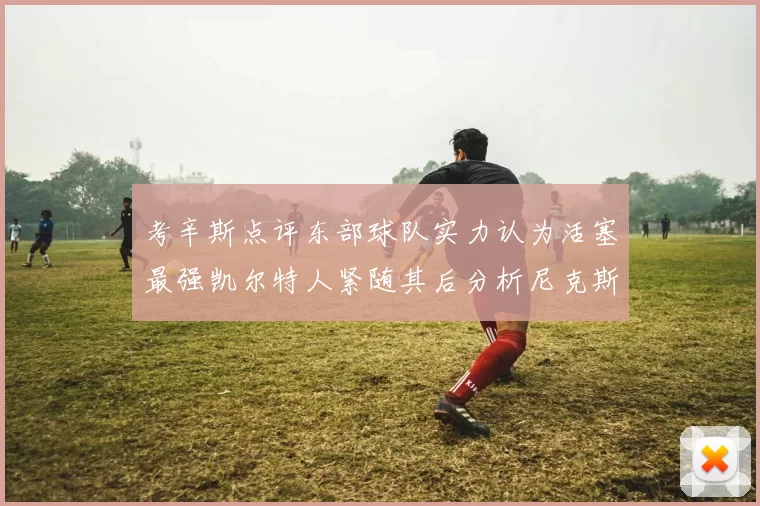 考辛斯点评东部球队实力认为活塞最强凯尔特人紧随其后分析尼克斯不足之处