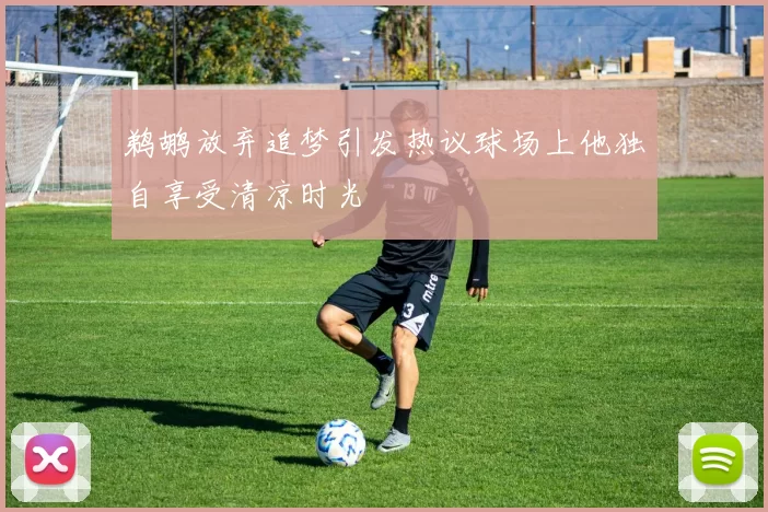 鹈鹕放弃追梦引发热议球场上他独自享受清凉时光