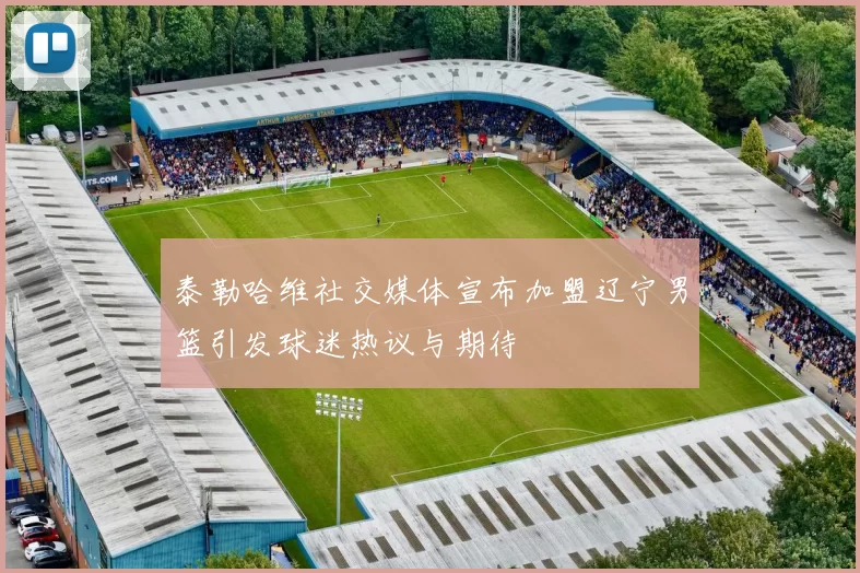泰勒哈维社交媒体宣布加盟辽宁男篮引发球迷热议与期待